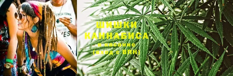 магазин продажи наркотиков  Белокуриха  Канабис THC 21% 